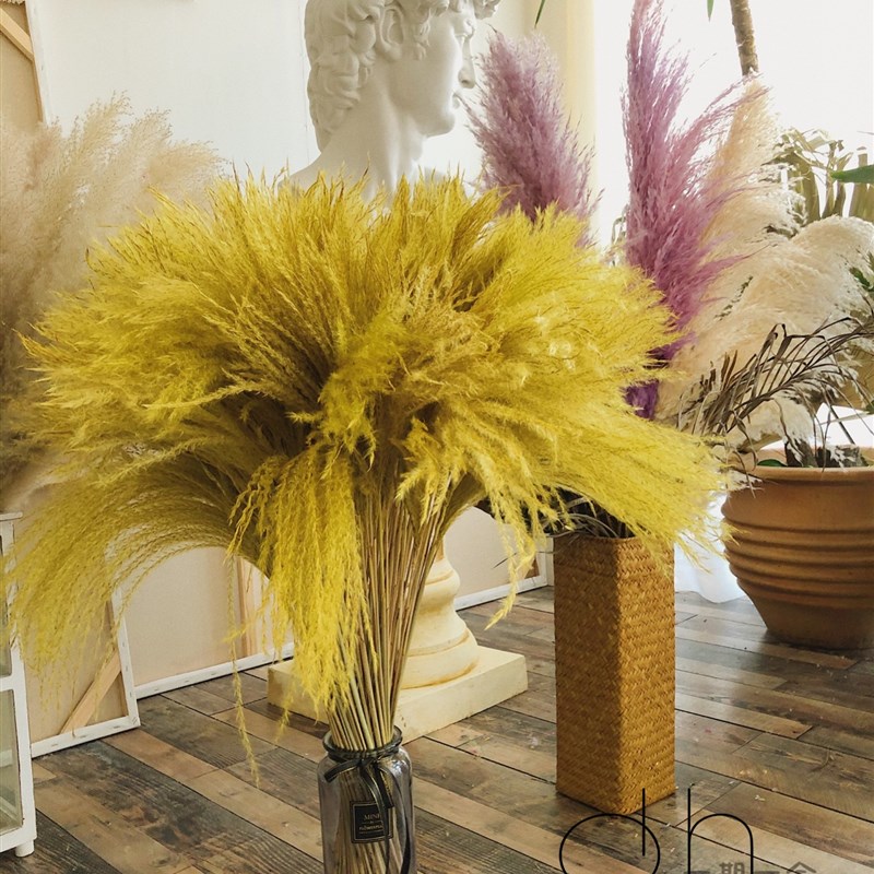 ins可爱萌感小鸡黄芦苇干花花束带瓶套装少女家居摆件装饰道具