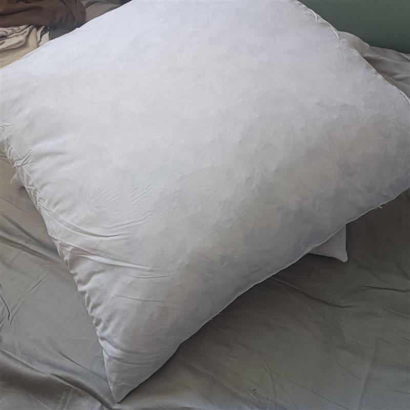 外贸鹅毛片枕芯羽绒羽毛抱枕芯靠垫芯55x55cm慢回弹清仓