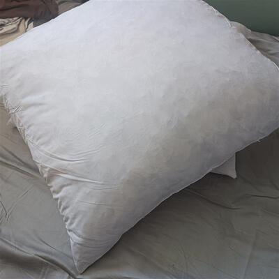 外贸鹅毛片枕芯羽绒羽毛抱枕芯靠垫芯55x55cm慢回弹清仓