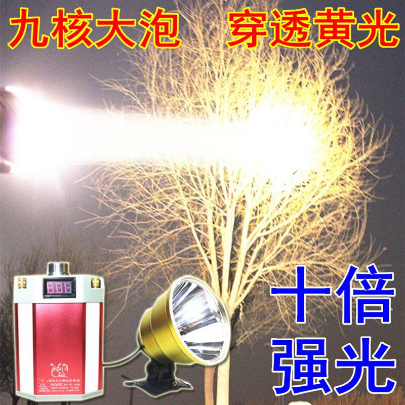 P1000强光头灯九核黄光外接分体电瓶9核超亮钓鱼灯P900充电12V