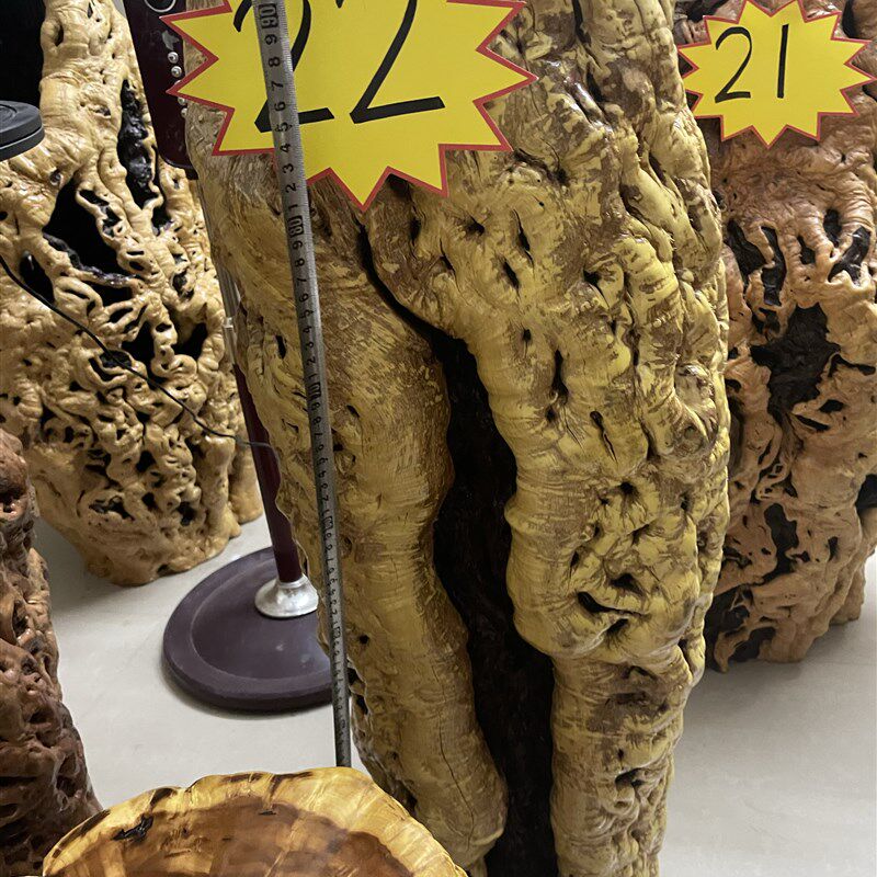 枣木纯实木根雕花架龙纹天然大尺寸艺术造型花架木墩底座原木摆件
