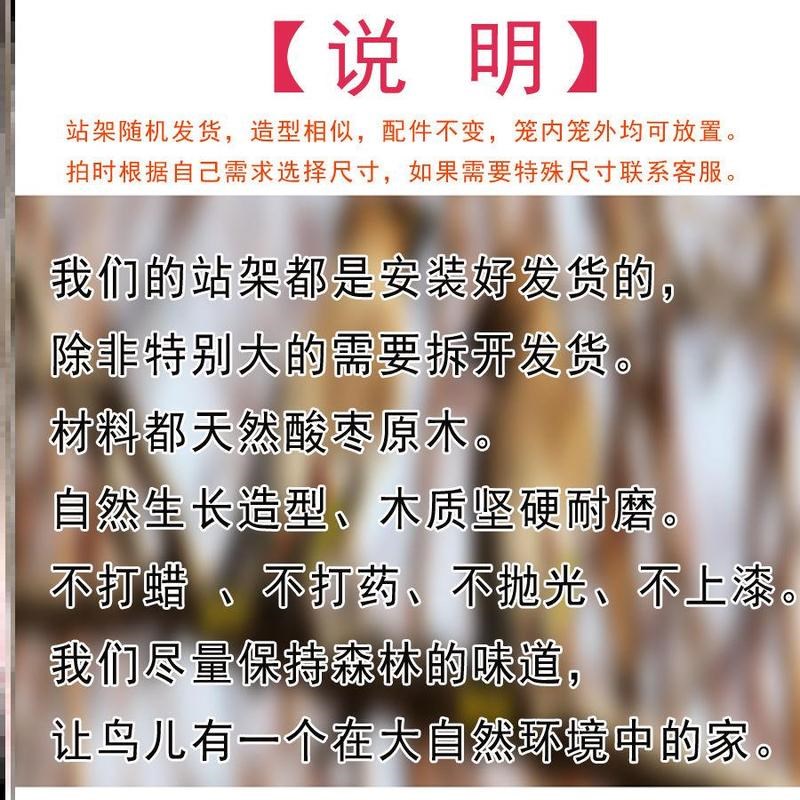 养鹦鹉站架树枝落地式训鸟原木玄风杆子站台秋千桌面鸟用品小鸡