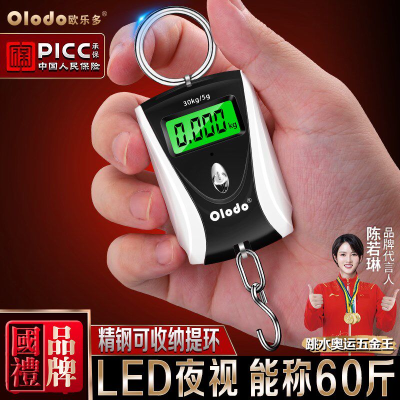 家用手提电子秤高精度市斤随身称精准便携式买菜迷你手拎挂勾吊称
