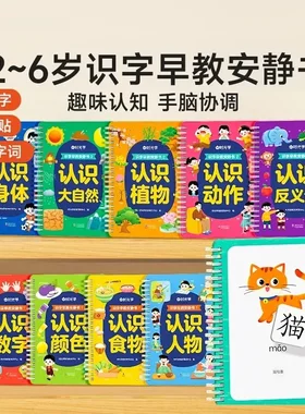 识字早教安静书幼儿启蒙游戏书学前认字粘贴-N