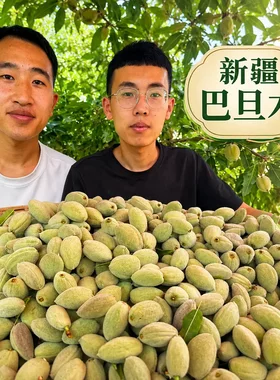 新疆新鲜现摘绿皮巴旦木当季水果原味带青壳即食扁桃仁巴达木-N