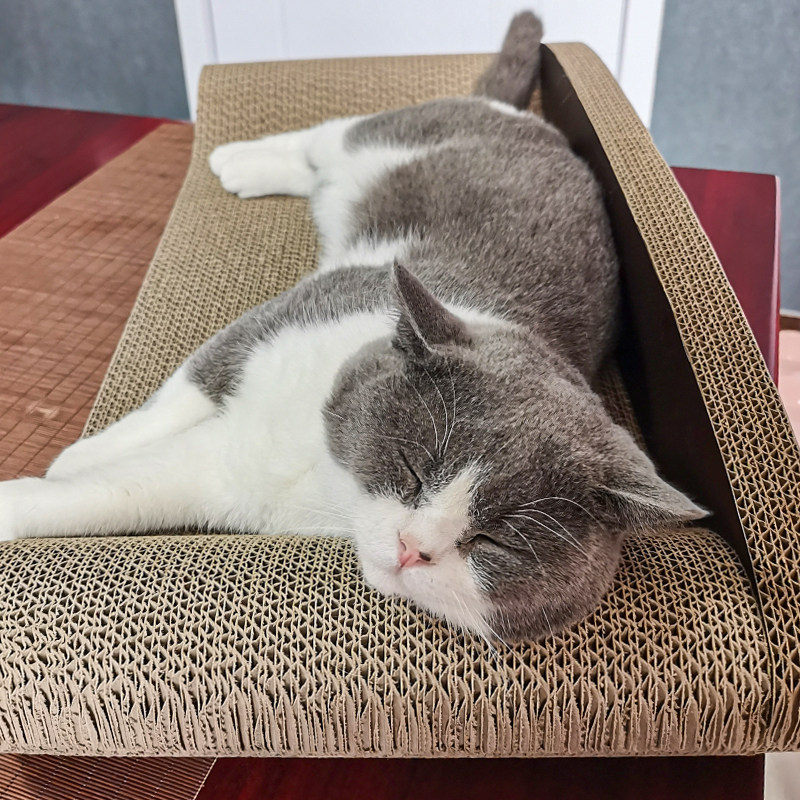 得酷沙发型猫爪板贵妃椅猫沙发猫抓板瓦楞纸耐磨猫玩具猫咪用品图片
