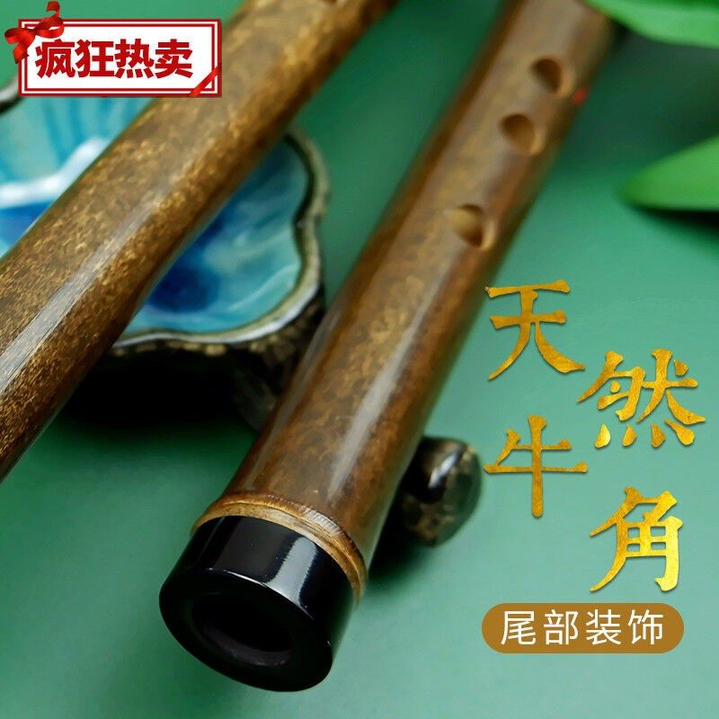 便携入门洞箫零基础紫竹短萧迷你小萧笛古风六孔C调箫乐器D潇E调