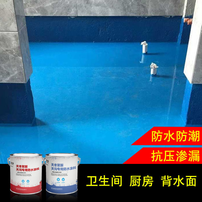 天冬聚脲防水涂料 卫生间厨房阳台防水材料内墙天沟水池防水补漏