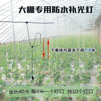 大棚专用带线灯口40米10灯头专用防水灯头跑马线灯头可连接