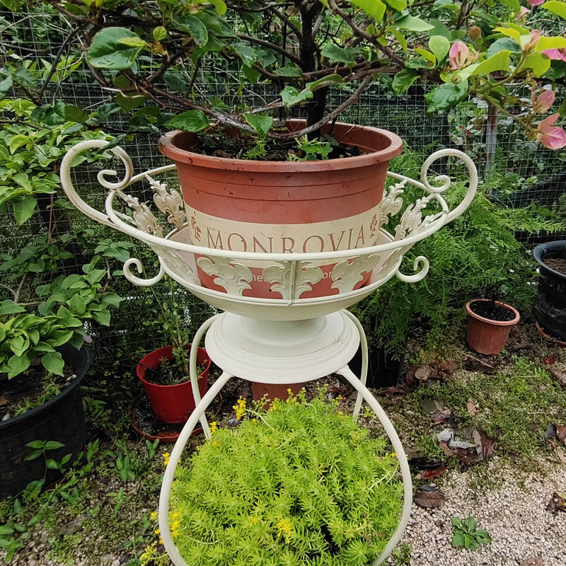 复古铁艺花架装饰奖杯花柱台室内户外植物盆栽绿萝吊兰落地花盆架