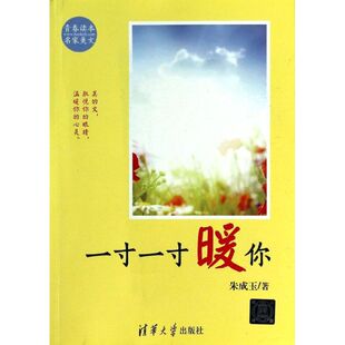 正版新书 一寸一寸暖你 朱成玉 著 清华大学出版社