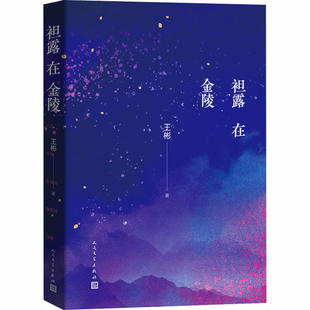 正版新书 袒露在金陵 王彬 人民文学出版社