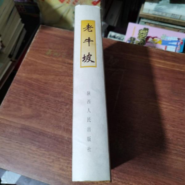 正版新书 老牛坡:西北大学考古专业田野发掘报告 刘士莪  编著 陕西人民出版社