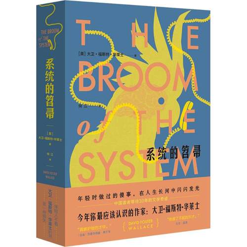正版新书 系统的笤帚 (美)大卫·福斯特·华莱士(David Foster Wallace) 著;何江 译 著作 北京时代华文书局