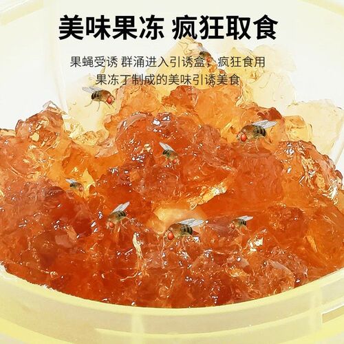 美优森室内小飞虫驱除神器灭果蝇诱捕蝇捕捉器家用苍蝇果蝇粘蝇纸