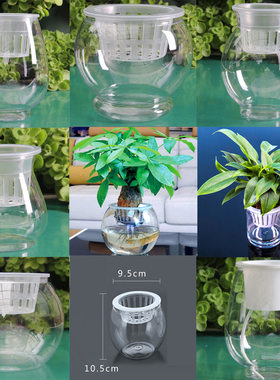 透明水培塑料花瓶绿萝水生植物植物容器室内桌面摆放花盆多个大小