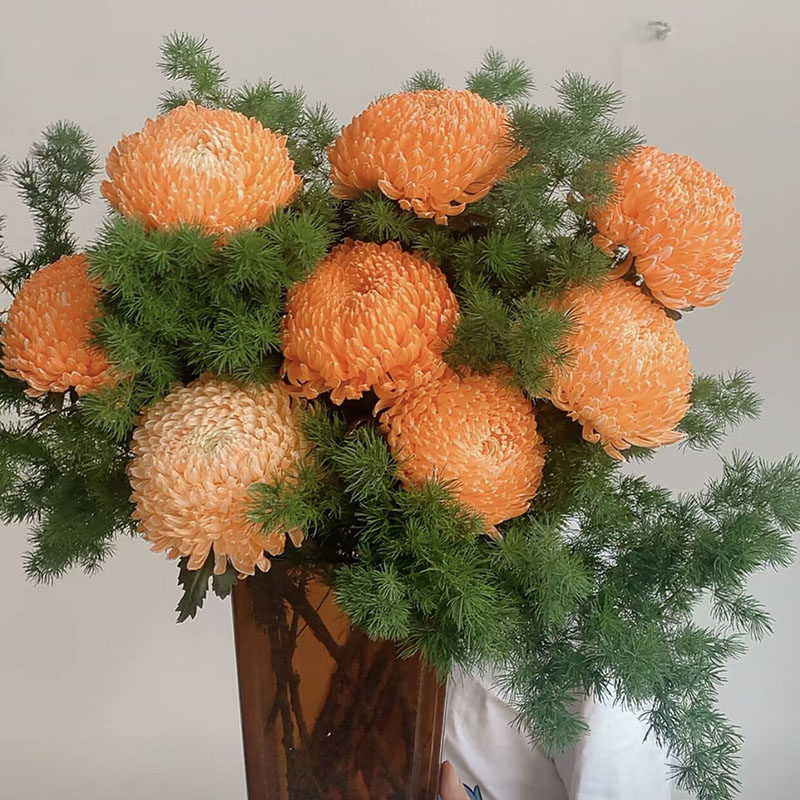 暖冬色橙色牡丹菊鲜花蓬莱松组合云南昆明直发花期长花头大节日