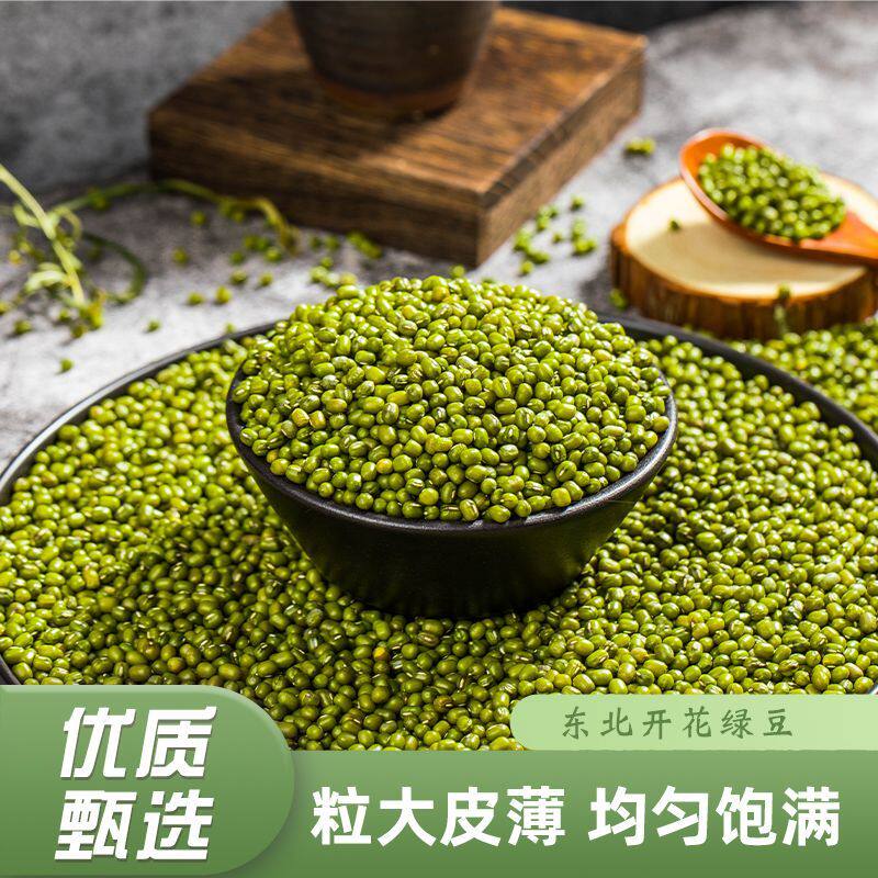 新货东北绿豆25年农家自产新鲜皮薄解暑绿豆汤粥糕发豆芽批发豆类