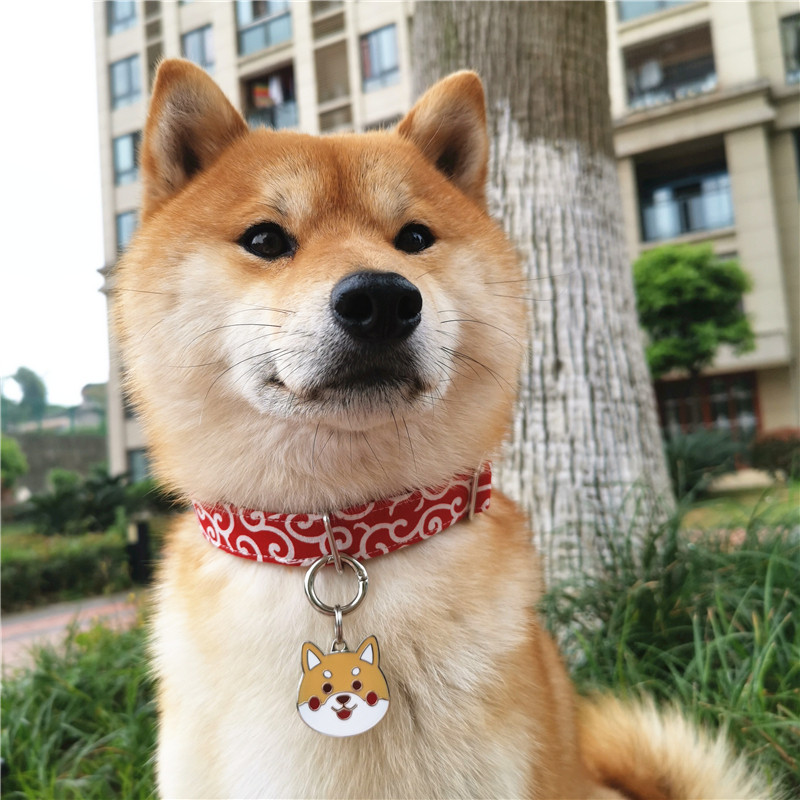 金属狗牌柴犬柯基铭牌身份牌防走失激光刻字合金名牌定做订制包邮