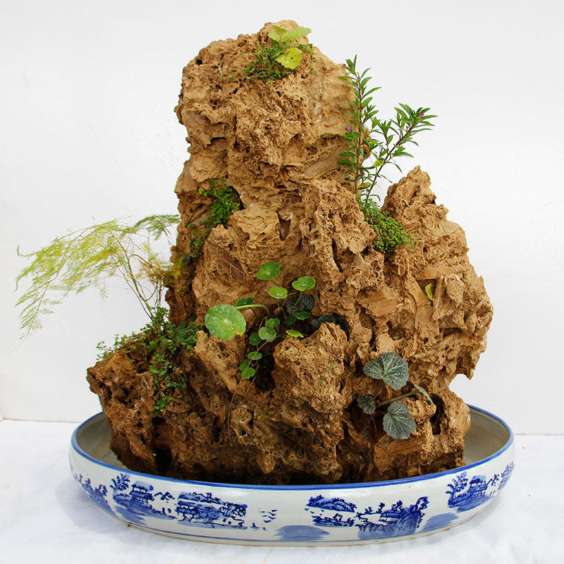小型吸水石流水假山绿植摆件真石头原石盆景其它园艺用品包邮新品