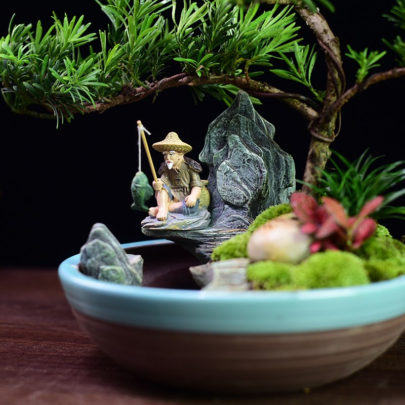 小叶雀舌罗汉松盆景树桩造型老桩植物室内绿植客厅迎客松盆栽送礼