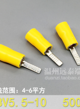 片形绝缘端子 冷压端子 铜鼻子 DBV5.5-10 500只