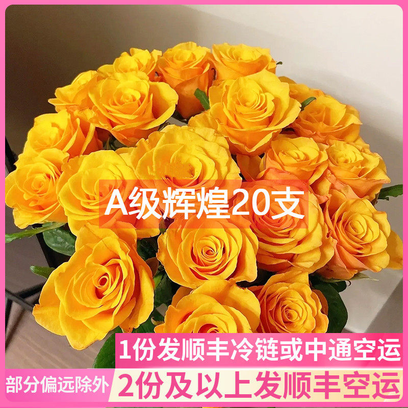 A级辉煌玫瑰花斗南鲜花基地直发昆明花卉市场批鲜切发真花黄玫瑰