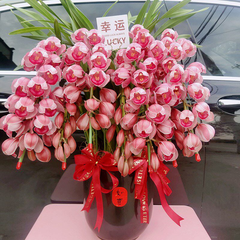 大花蕙兰蝴蝶兰绿植乔迁送领导长辈高档盆栽杭州上海广州北京同城