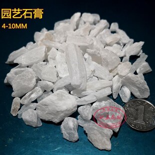 石灰石风化页岩石膏云母仙人球颗粒土铺面垫底碳酸钙营养控型包邮