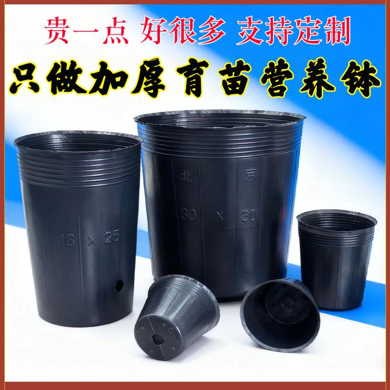 营养钵加厚防老化营养杯育苗杯育苗盆塑料黑色育秧盆种植袋育苗袋