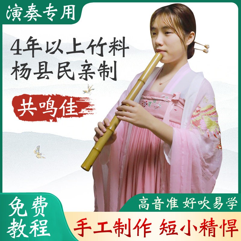 专业新款演奏初学入门洞萧乐器成人八孔金毛竹杨县民一节短箫素箫