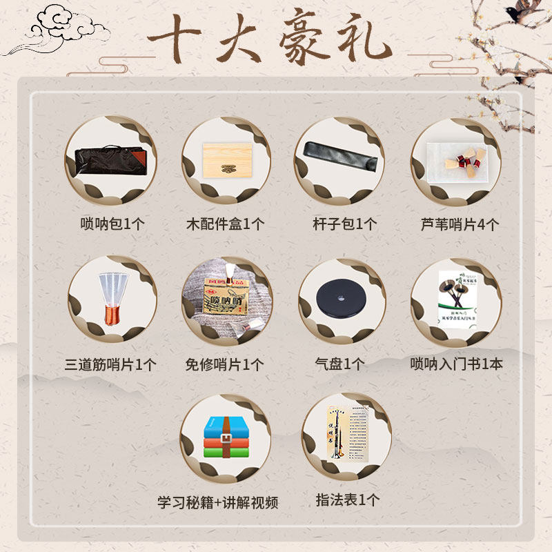 王家彪小叶檀木网红款唢呐乐器精制吹奏乐器初学专业款小号喇叭