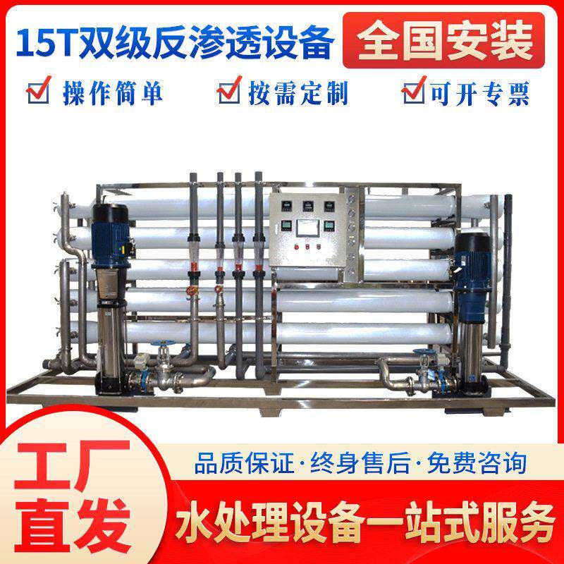 15t双级反渗透水处理设备工业纯水机去离子水设备大型过滤净水器