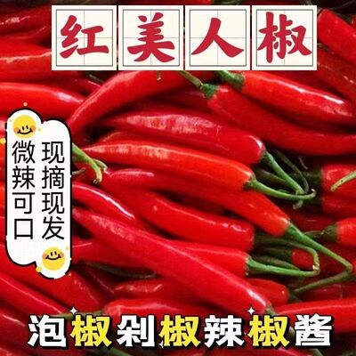 现摘美人椒当季美人椒新鲜红辣椒