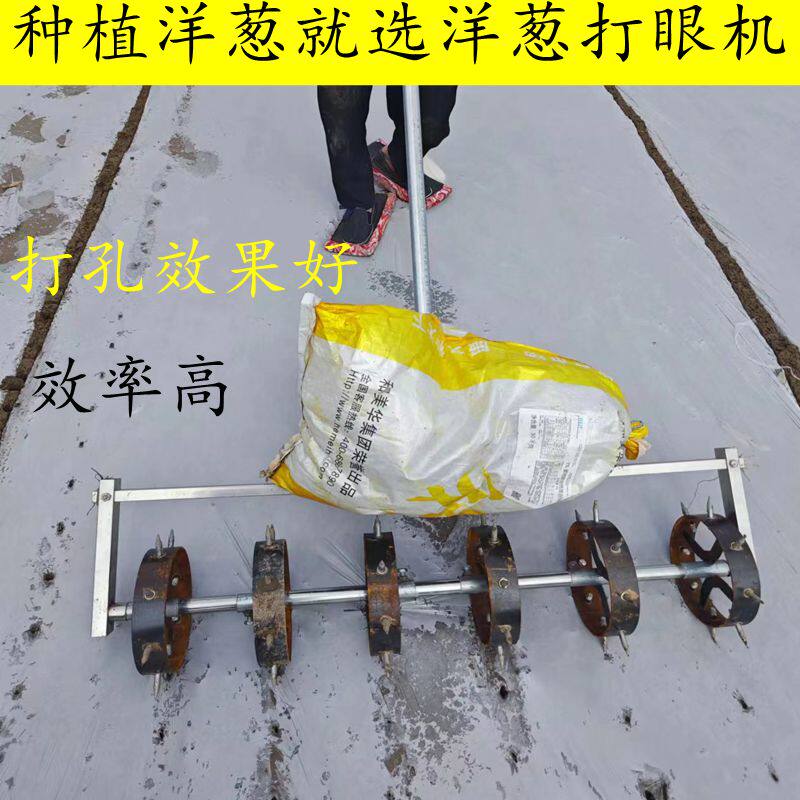 种植洋葱打眼机地膜打孔种洋葱神器洋葱扎眼种植农用工具