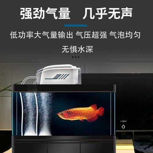 鱼缸氧气泵打氧机增氧机养鱼超静音增氧泵小型家用养鱼增氧打氧泵