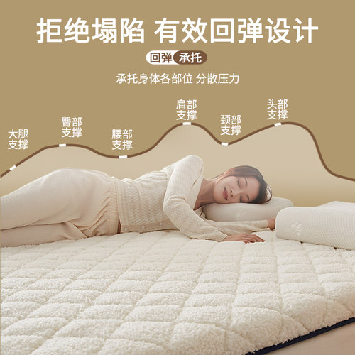 冬季羊羔绒床垫软垫家用加绒榻榻米垫子学生宿舍单人加厚垫被褥子
