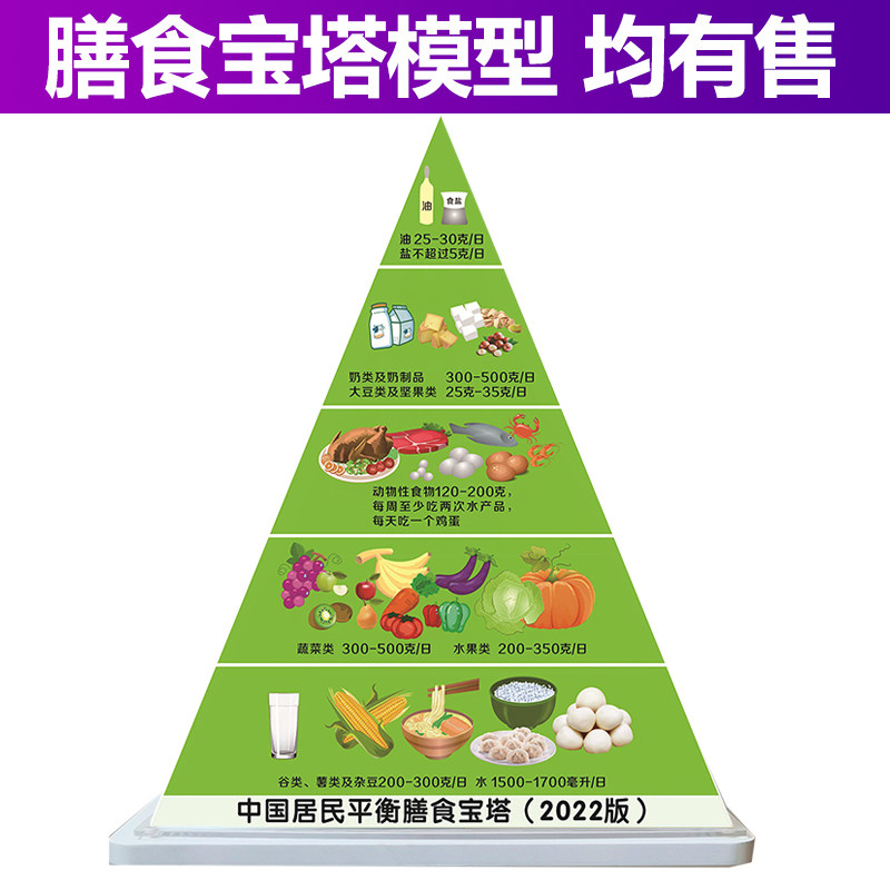 2022中国居民平衡膳食宝塔模型通用版儿童营养指导模型食物交换份