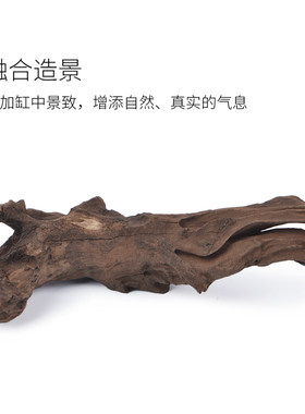 鱼缸造景沉木小中型乌龟缸天然紫柚木晒台木头爬台饲养缸装饰用品