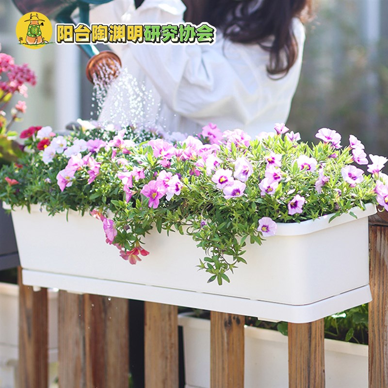 挂在栏杆上的花盆栏杆花架悬挂长条盆走廊栏杆花盆种草莓阳台种菜