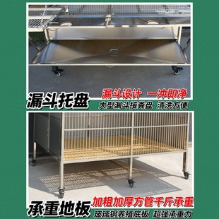 大牛大型不锈钢鸽子笼鸽子养殖繁殖专用笼专业赛鸽笼室外鸽棚鸽舍