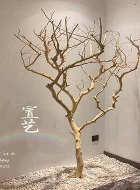 原木树枝干树枝 去皮树枝 室内造型树枝枯树枝装饰 树枝造景 橱窗