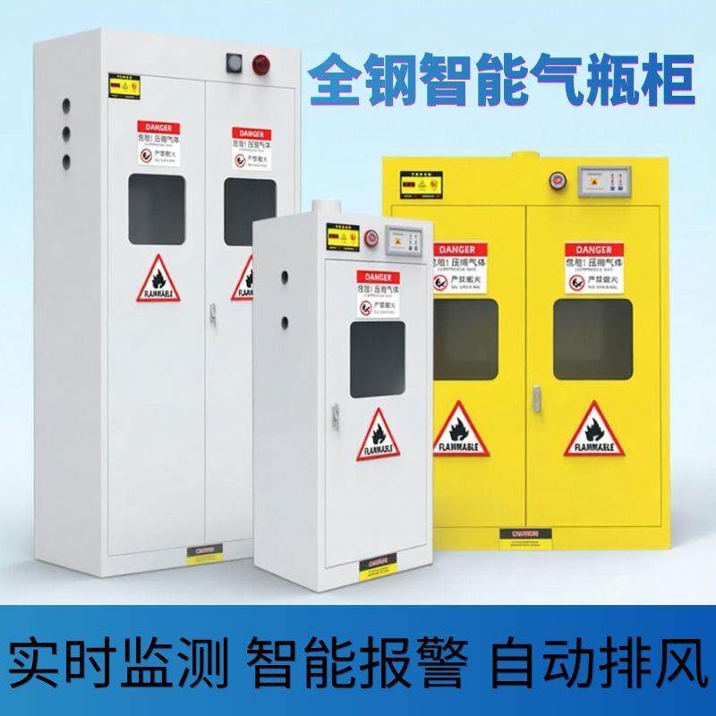 全钢智能气体储存柜工业气瓶防爆柜实验室气体安全柜危化品储存柜