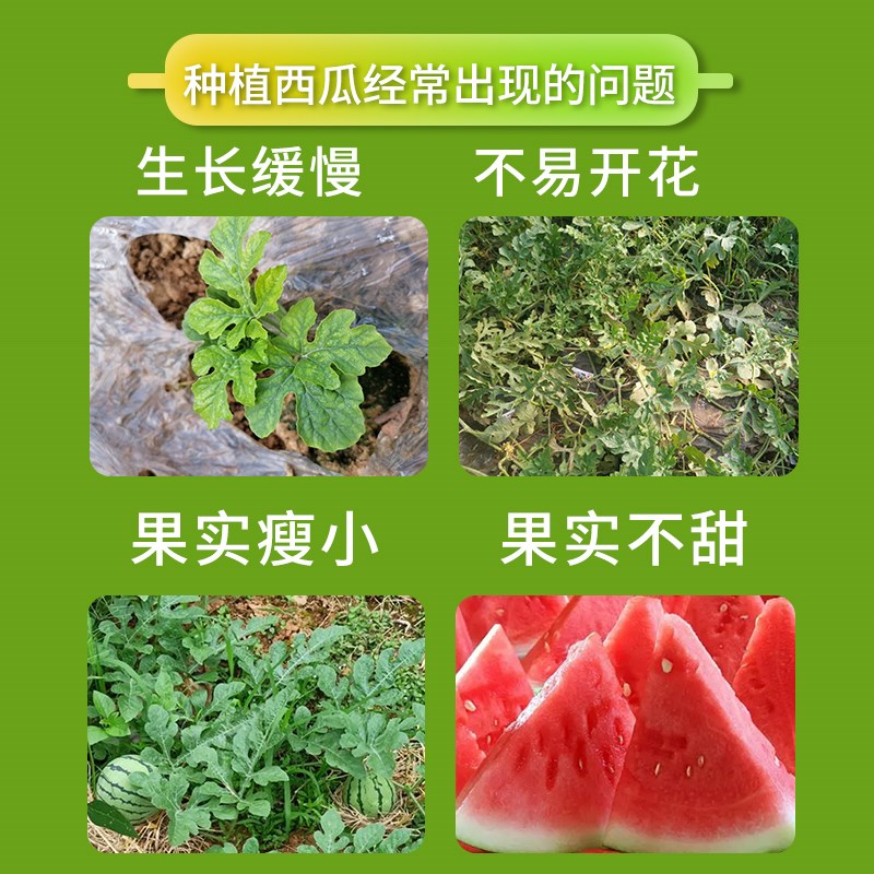 西瓜专用肥料西瓜肥料复合肥生物颗粒缓释肥有机肥料天然增甜膨果