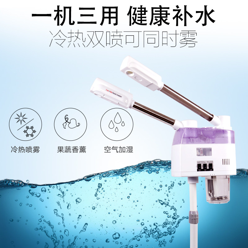 泰东冷热喷雾机美容仪补水打开毛孔排毒蒸脸器纳米美容院专用双喷