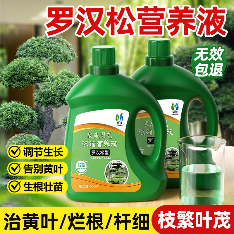 罗汉松营养液专用肥花卉绿植通用型盆景植物室内盆栽肥料专治黄叶