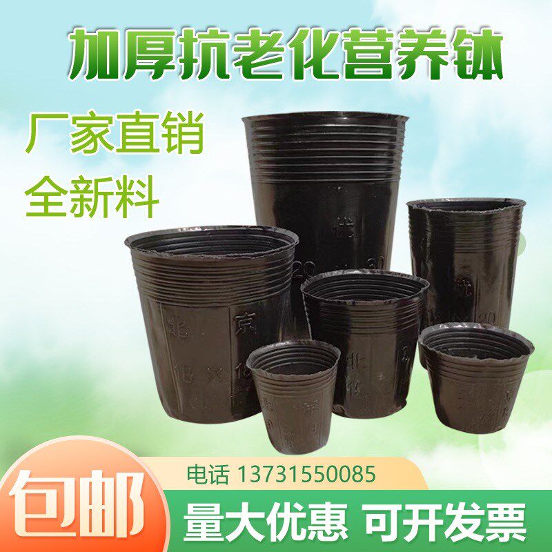 加厚营养钵 软营养杯 塑料防老化育苗杯 一次性育苗袋 树苗营养袋