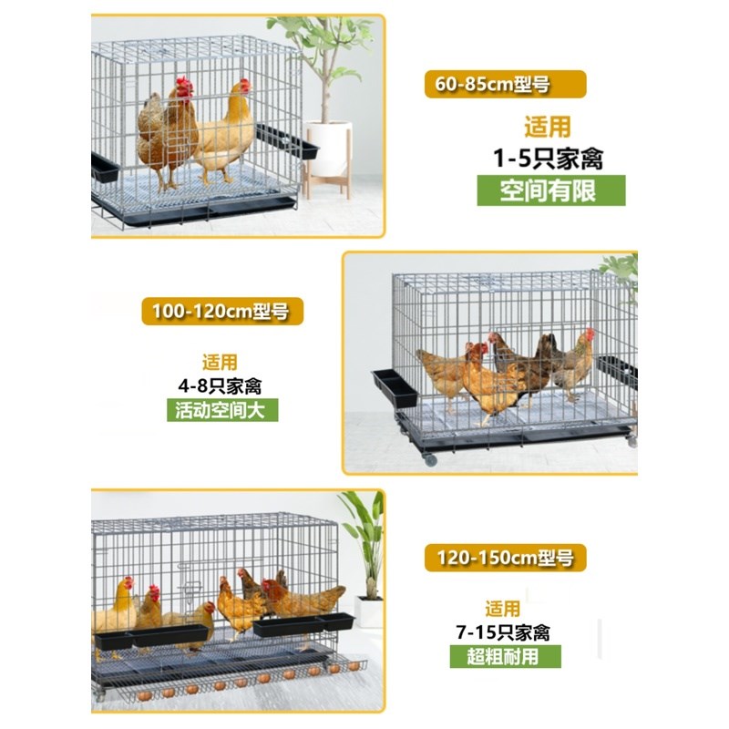 室外养鸡棚养鸡笼家用鸡舍围栏网搭建家禽自动滚蛋大号铁丝养殖笼