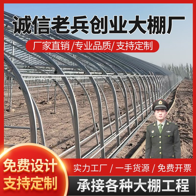 外遮阳连栋大棚连体种植大棚养殖大棚大棚骨架定制智能玻璃温室棚