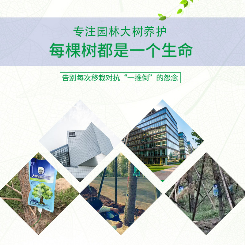 大树营养吊针液原液果树催芽促生根吊袋母液树木移栽输液袋浓缩液